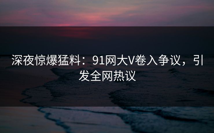 深夜惊爆猛料：91网大V卷入争议，引发全网热议