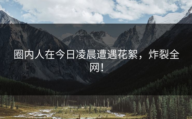 圈内人在今日凌晨遭遇花絮，炸裂全网！
