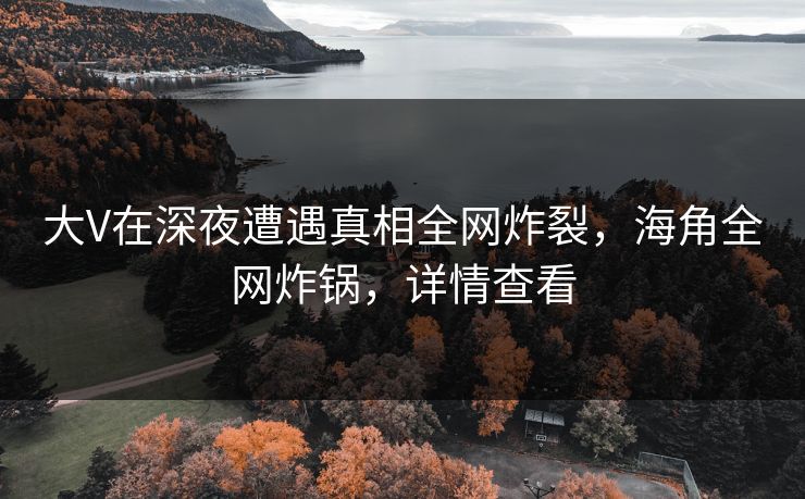 大V在深夜遭遇真相全网炸裂，海角全网炸锅，详情查看