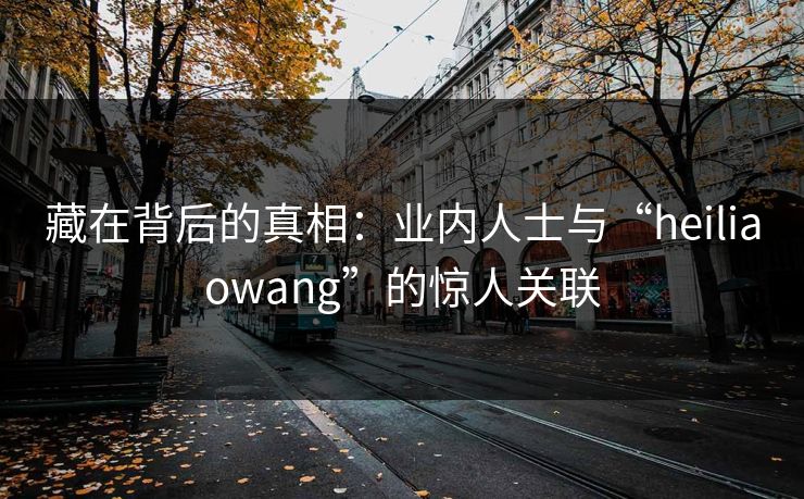 藏在背后的真相：业内人士与“heiliaowang”的惊人关联