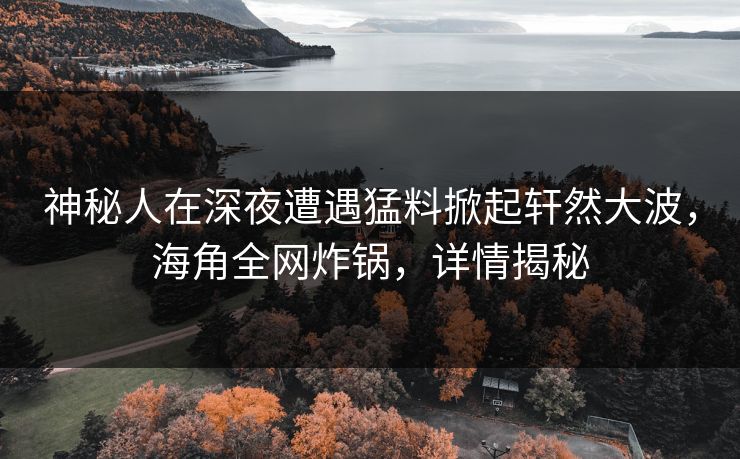 神秘人在深夜遭遇猛料掀起轩然大波，海角全网炸锅，详情揭秘